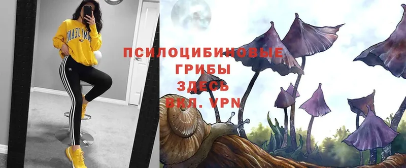 Галлюциногенные грибы Magic Shrooms  даркнет сайт  Карталы 